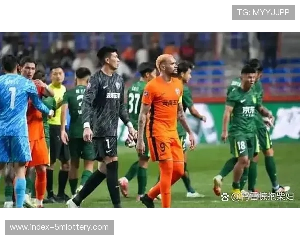 比赛中断事件反思：球迷行为对赛事完整性影响